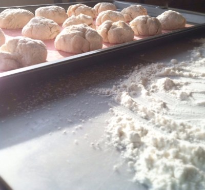 Vegan Scratch-Made Farm Biscuits